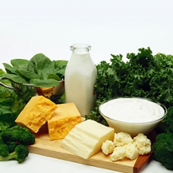 diet-for-osteoporosis